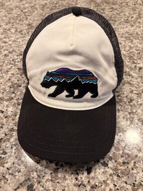 Patagonia Trucker Hat